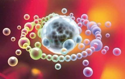 Cancer Res：免疫治療與放射治療結(jié)合能更有效治療癌癥