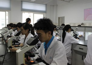 2015年度醫(yī)學(xué)檢驗(yàn)專業(yè)技術(shù)資格考試安排已經(jīng)確定