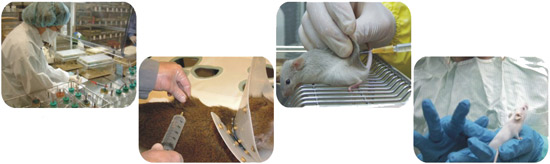 為什么用動(dòng)物做實(shí)驗(yàn)