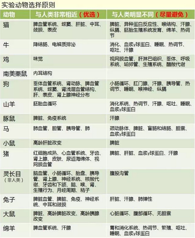 醫(yī)學(xué)基礎(chǔ)|實驗動物選擇原則