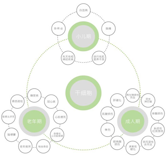干細(xì)胞技術(shù)