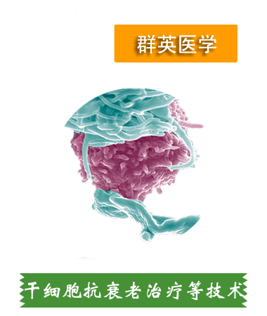 干細胞抗衰老、肝細胞治療等技術