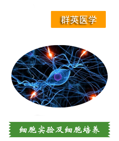 細(xì)胞實(shí)驗(yàn)、細(xì)胞培養(yǎng)