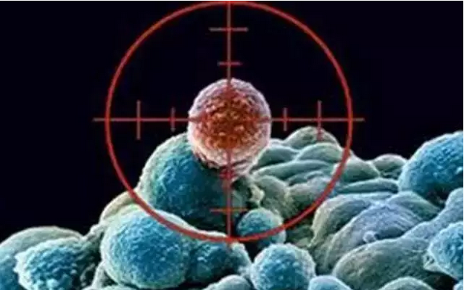 免疫療法有望5年內(nèi)取代化療 針對性強、副作用低