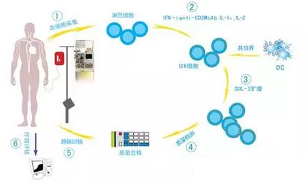 腫瘤專(zhuān)家揭秘：細(xì)胞治療不是越“多”越好