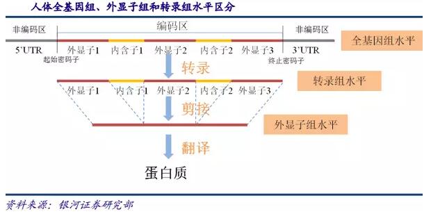基因測序發(fā)展新態(tài)勢：在上游發(fā)展三四代技術(shù)，在下游完成樣本積累