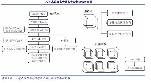 基因測序發(fā)展新態(tài)勢：在上游發(fā)展三四代技術(shù)，在下游完成樣本積累