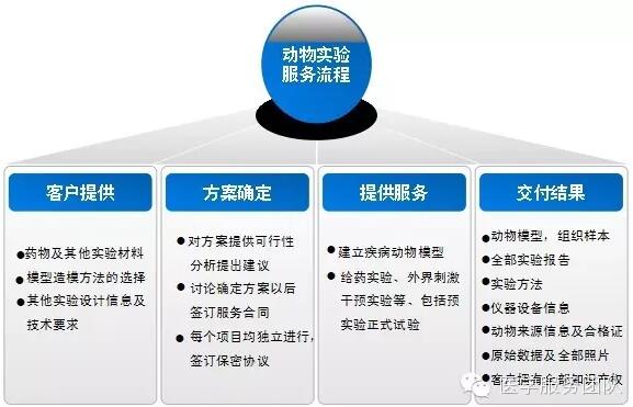 群英醫(yī)學動物模型構(gòu)建服務