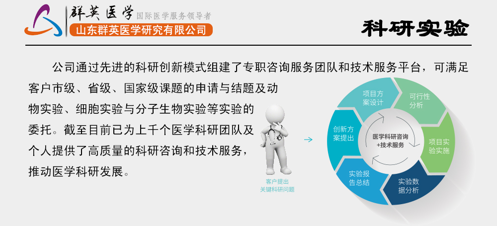 山東群英醫(yī)學(xué)研究有限公司科研實驗服務(wù)項目