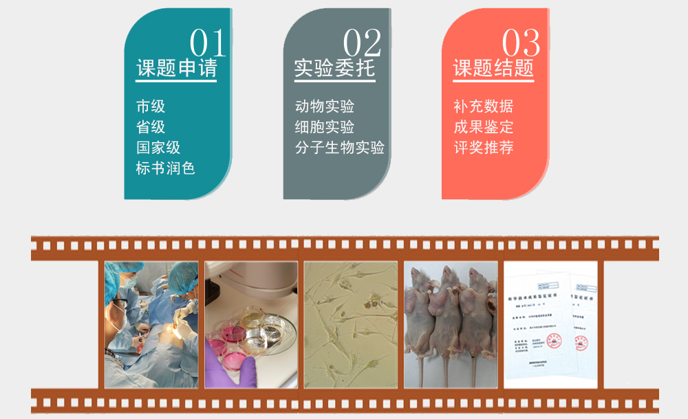 山東群英醫(yī)學(xué)研究有限公司科研實驗服務(wù)項目