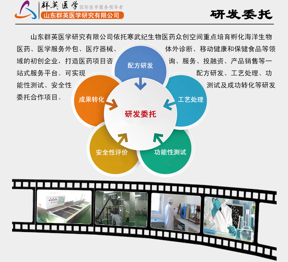 山東群英醫(yī)學(xué)研究有限公司研發(fā)委托服務(wù)項目