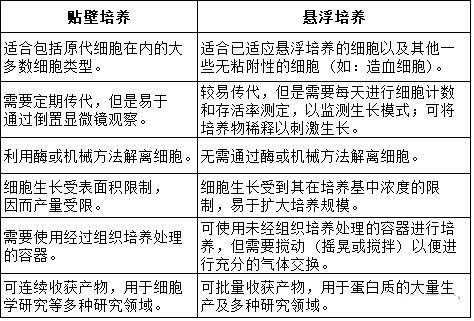 細胞培養(yǎng)方法之細胞培養(yǎng)基本知識