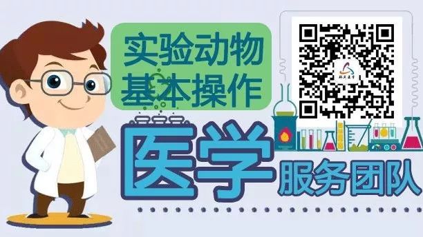 實驗動物視頻教程系列：大鼠抓取技巧